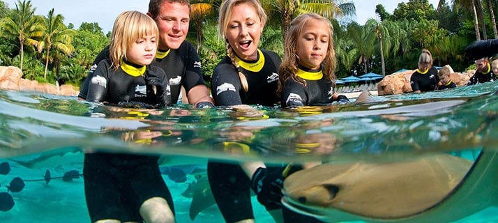Feed rays and thousands of tropical fish at Discovery Cove.