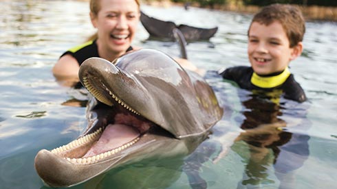Discovery Cove Orlando is a Certified Autism Center
