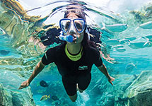 Snorkel with thousands of tropical fish at Discovery Cove