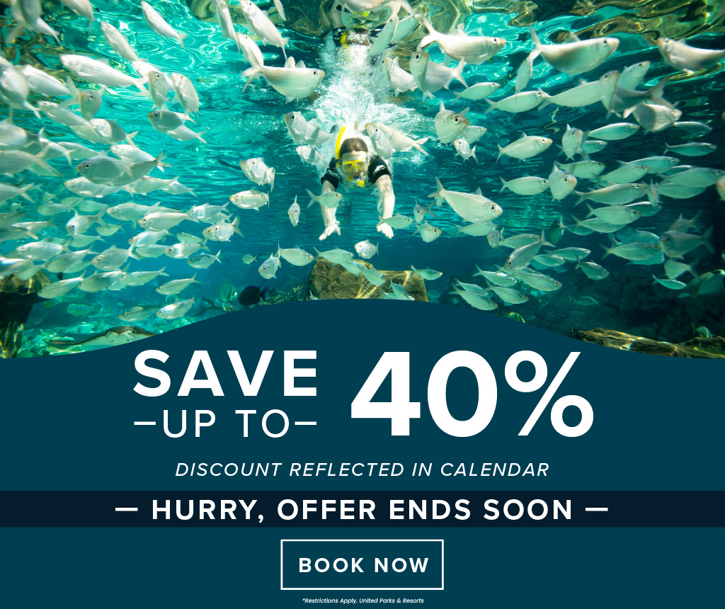 Discovery Cove Orlando - Limited Availability: Book Now