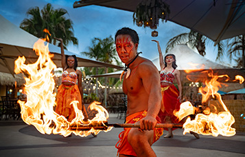 paradise fire performer
