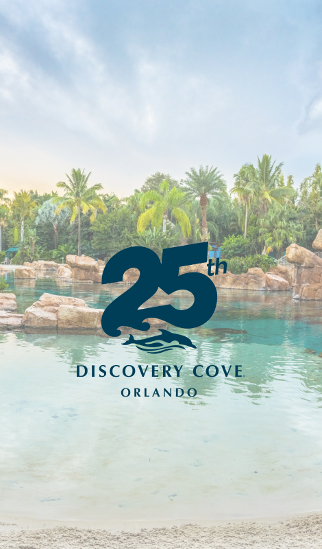 Discovery Cove Orlando 25