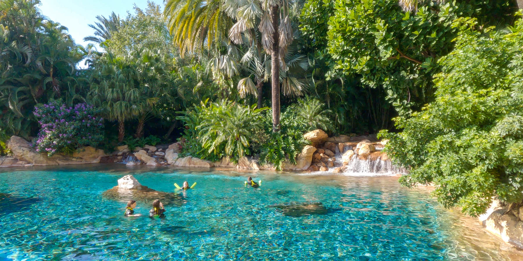 Discovery Cove Orlando Wind-Away River