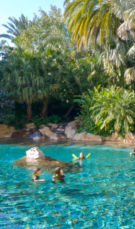 Discovery Cove Orlando Wind-Away River