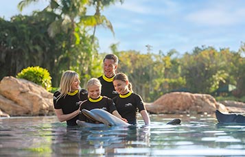 Dolphin swim at Discovery Cove Orlando