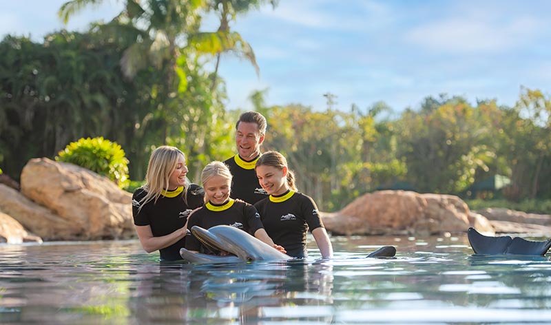 Dolphin swim at Discovery Cove Orlando