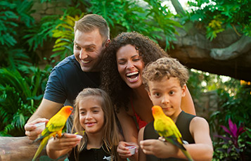 Explorers Aviary at Discovery Cove Orlando