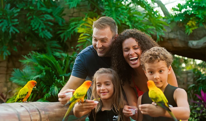 Explorers Aviary at Discovery Cove Orlando