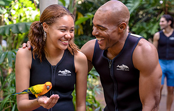 Explorer's Aviary at Discovery Cove