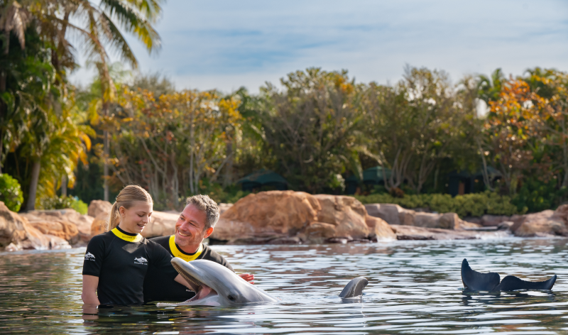 Discovery Cove Orlando Dolphin Lagoon