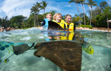 Discovery Cove Orlando The Grand Reef