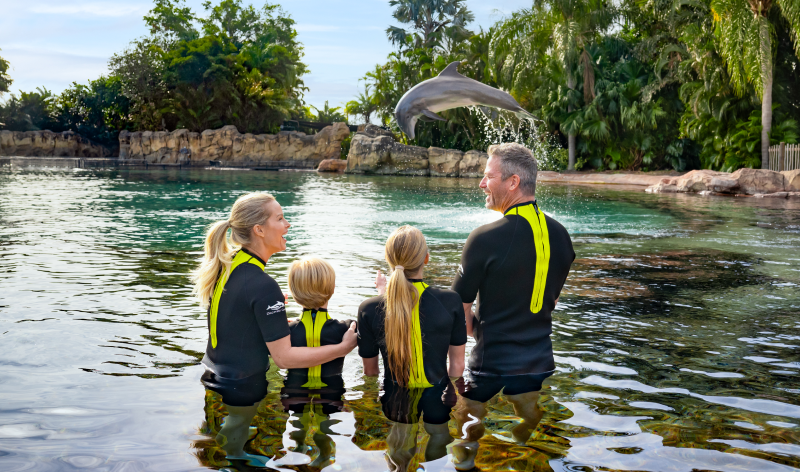Discovery Cove Orlando Dolphin Lagoon