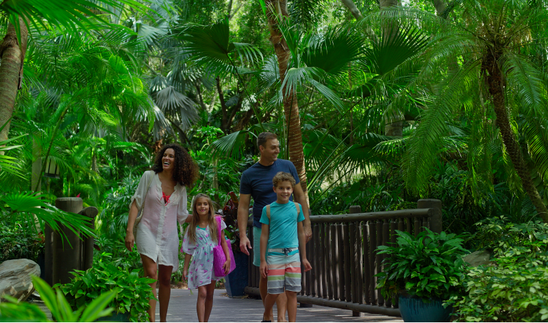 Ultimate Summer Escape at Discovery Cove