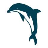 Dolphin icon