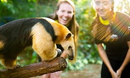 Animal Trek at Discovery Cove