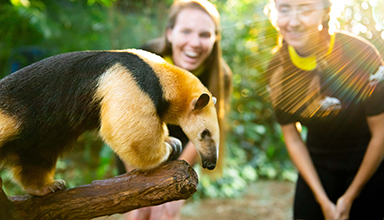 Animal Trek at Discovery Cove
