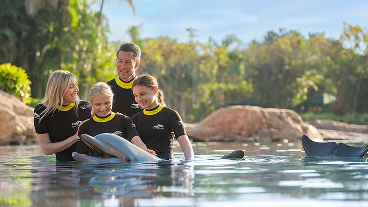 Swim with a dolphin during a visit to Discovery Cove Orlando