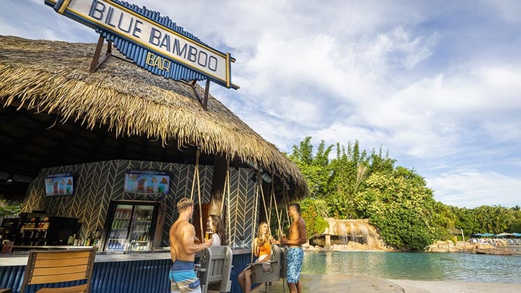 Blue Bamboo bar at Discovery Cove Orlando