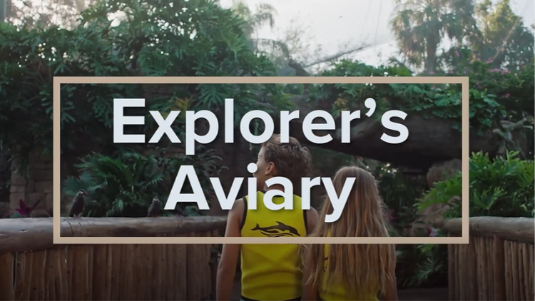 Explorers Aviary