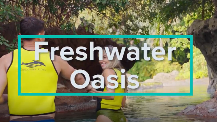 Freshwater Oasis