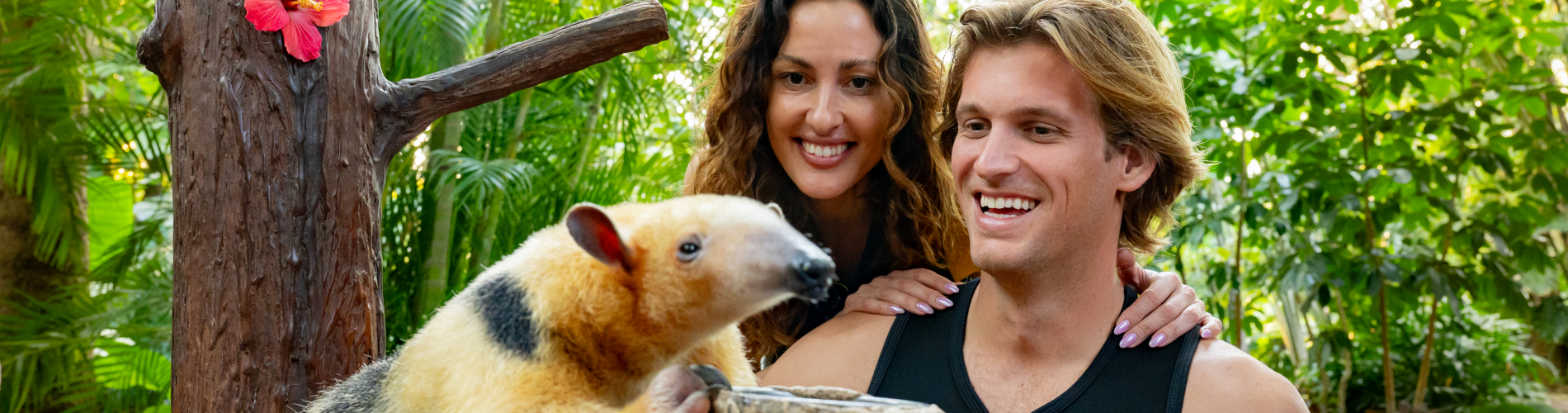 sloth encounter