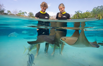 ray feeding.