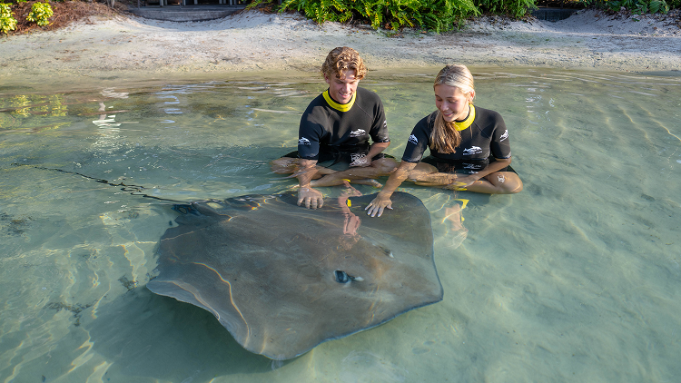 Ray Feeding 2