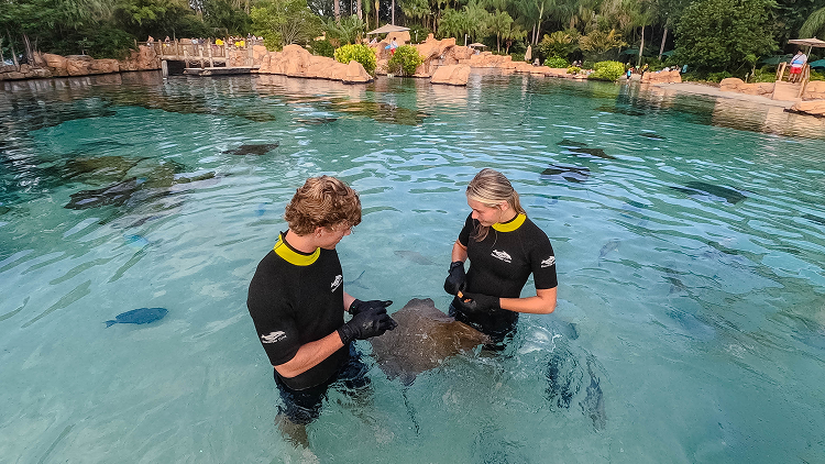 ray feeding 5