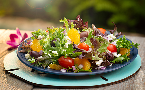 Salad at Discovery Cove Orlando