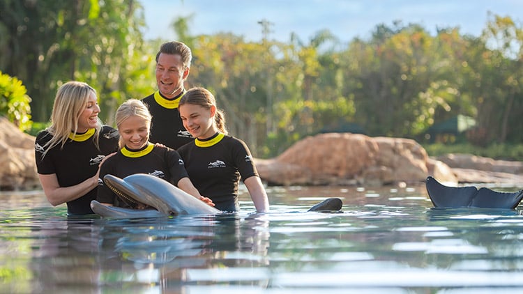 Include a dolphin swim with your Discovery Cove package
