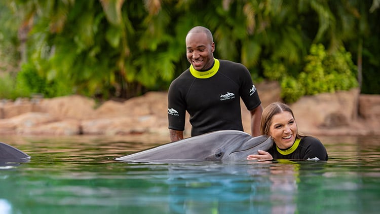 Include a dolphin swim with your Discovery Cove package