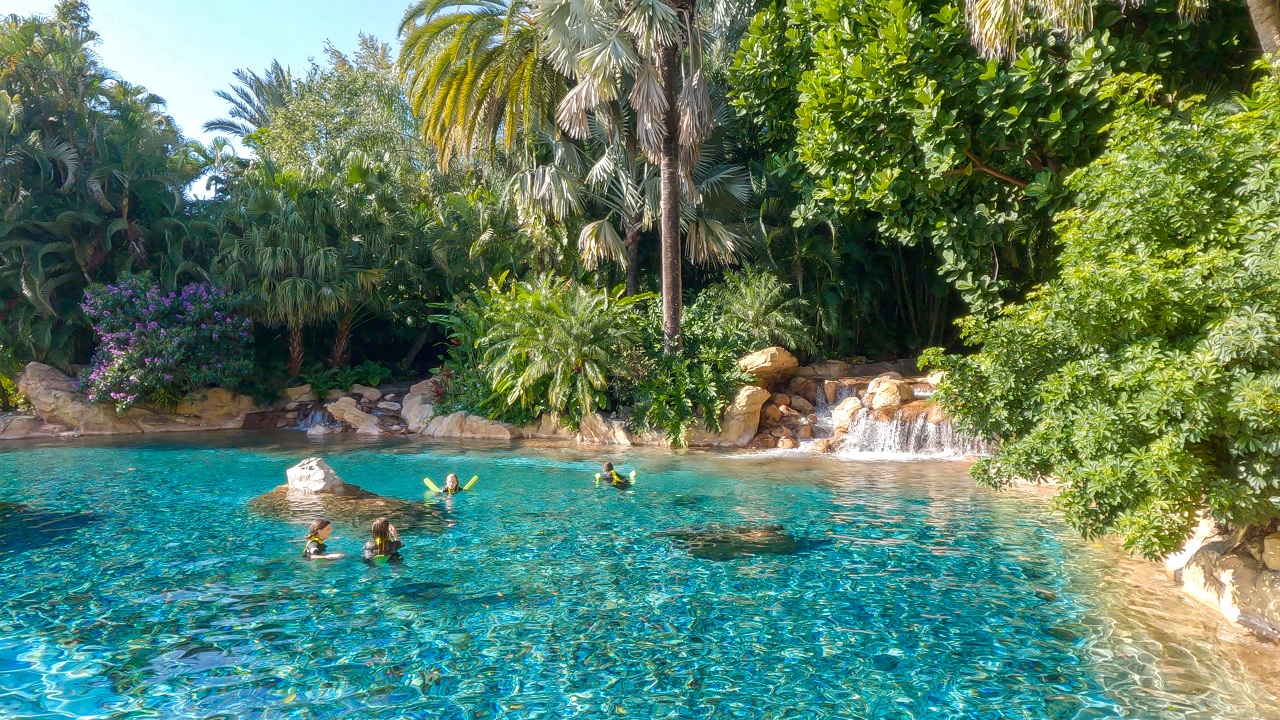 Discovery Cove Orlando