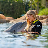 Swim with a dolphin at Discovery Cove