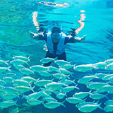 Snorkel with fish in The Grand Reef at Discovery Cove