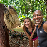 Guests meeting a sloth