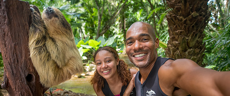 Guests meeting a sloth