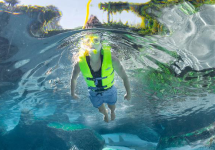 little boy snorkeling with lifevest