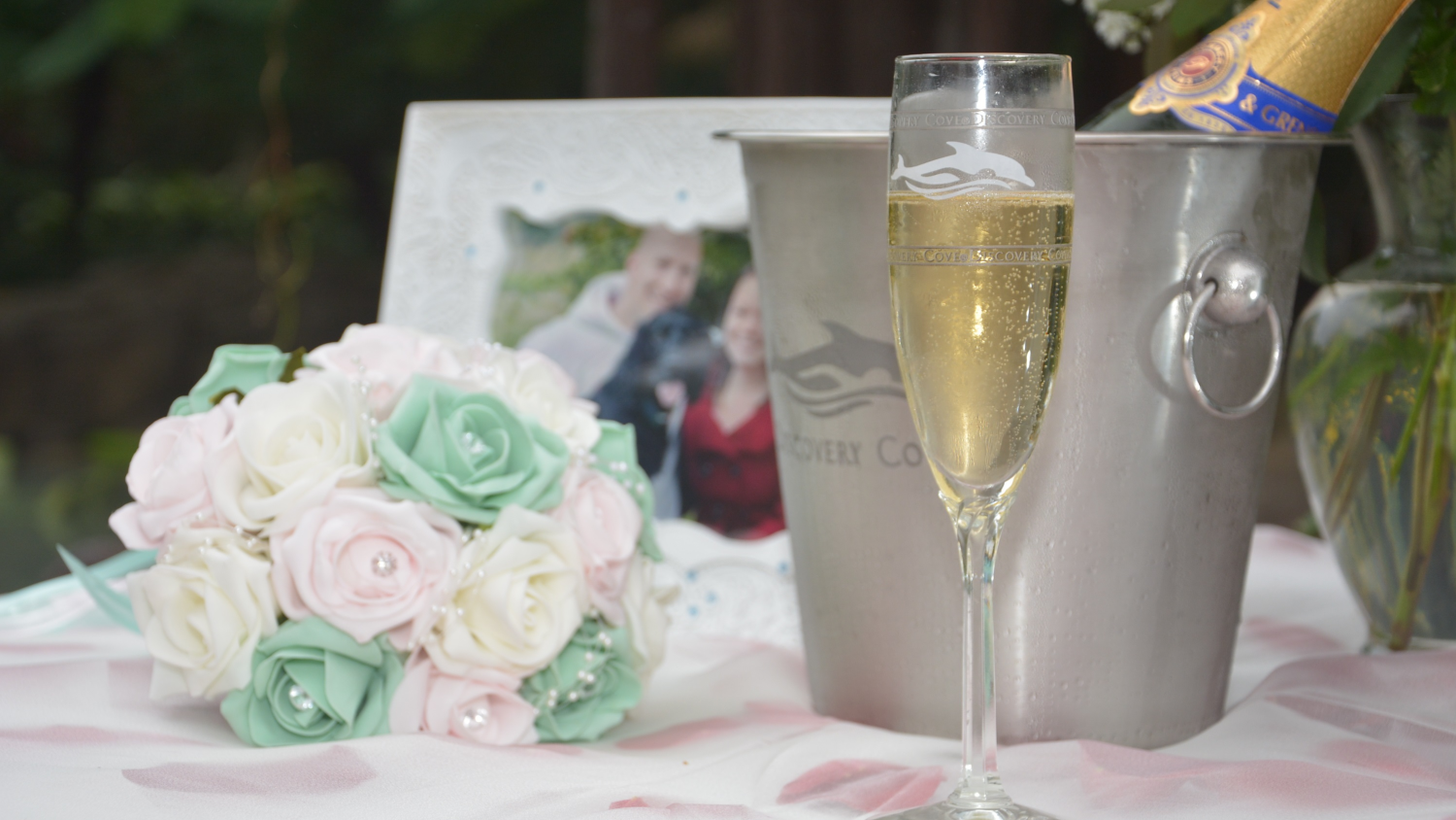 Discovery Cove Orlando Weddings