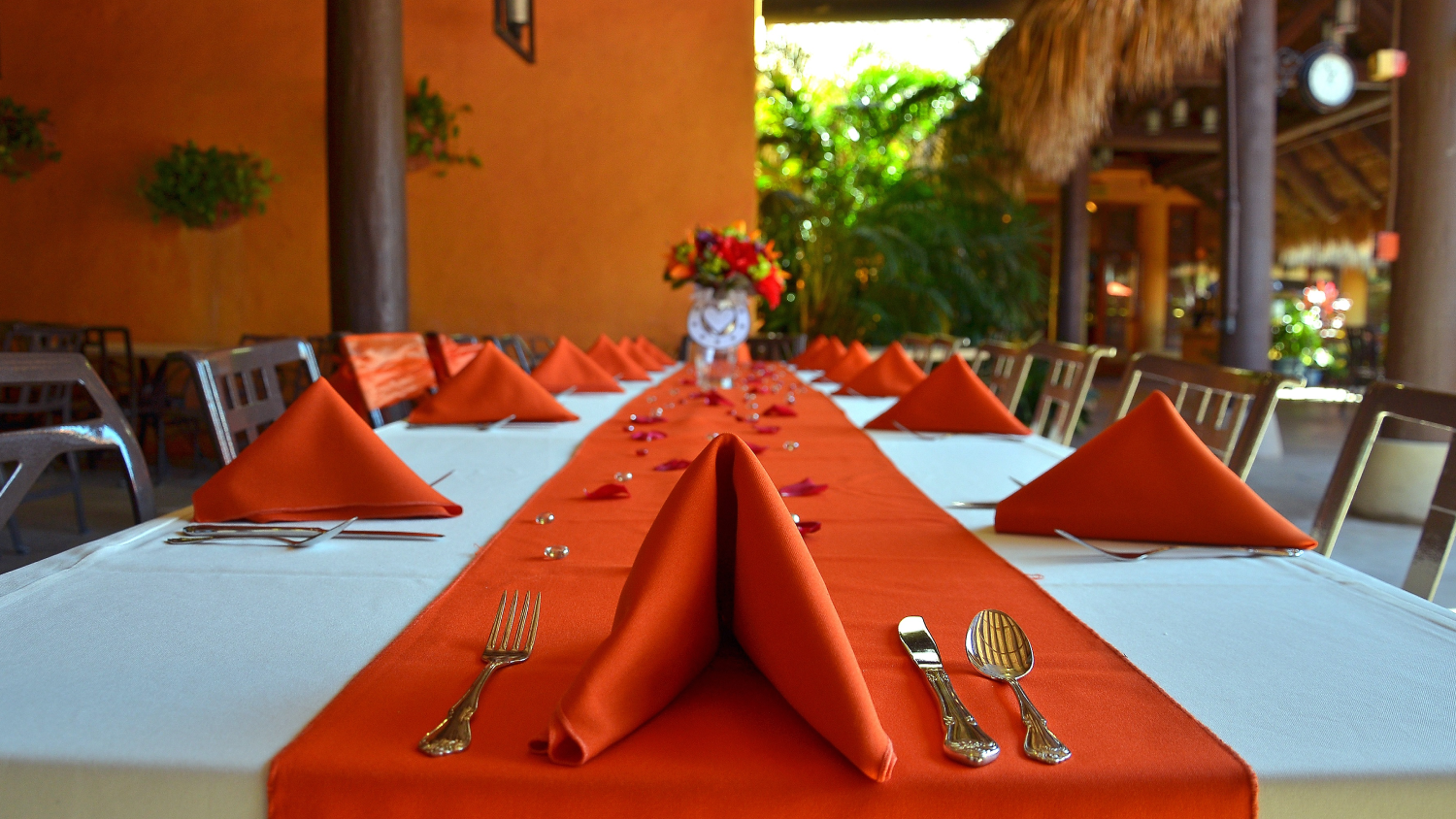 Discovery Cove Orlando Weddings