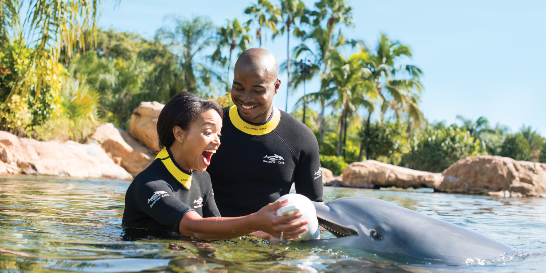Discovery Cove Orlando Proposal