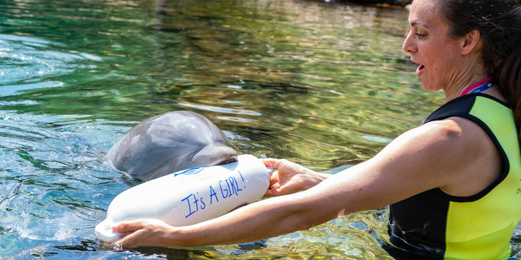 Discovery Cove Orlando Milestone Celebrations