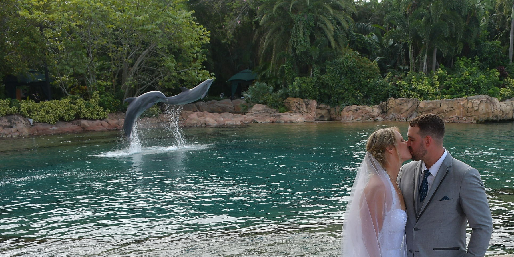Discovery Cove Weddings & Special Occasions