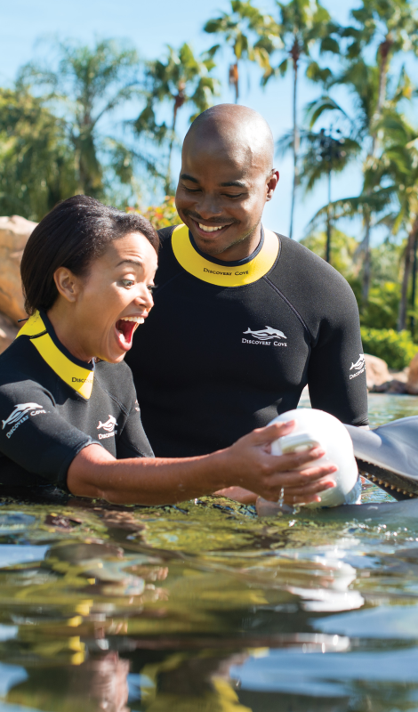 Discovery Cove Orlando Proposal