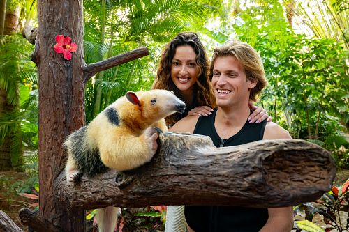 Discovery Cove Animal Trek