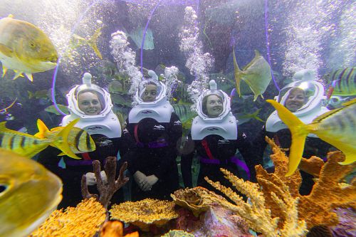 Discovery Cove SeaVenture