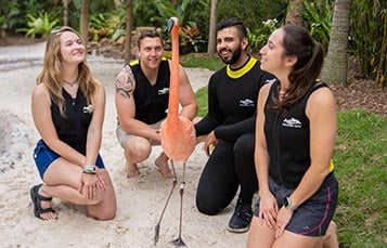 Group looking up at flamingo
