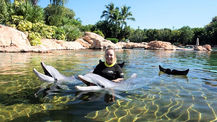 Swim with dolphins