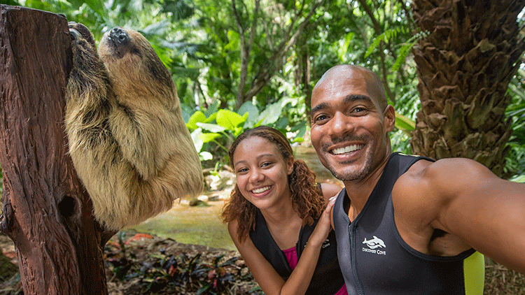 Meet a sloth at Discovery Cove Orlando