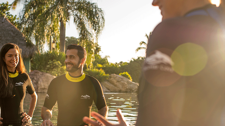 Meet animals at Discovery Cove Orlando