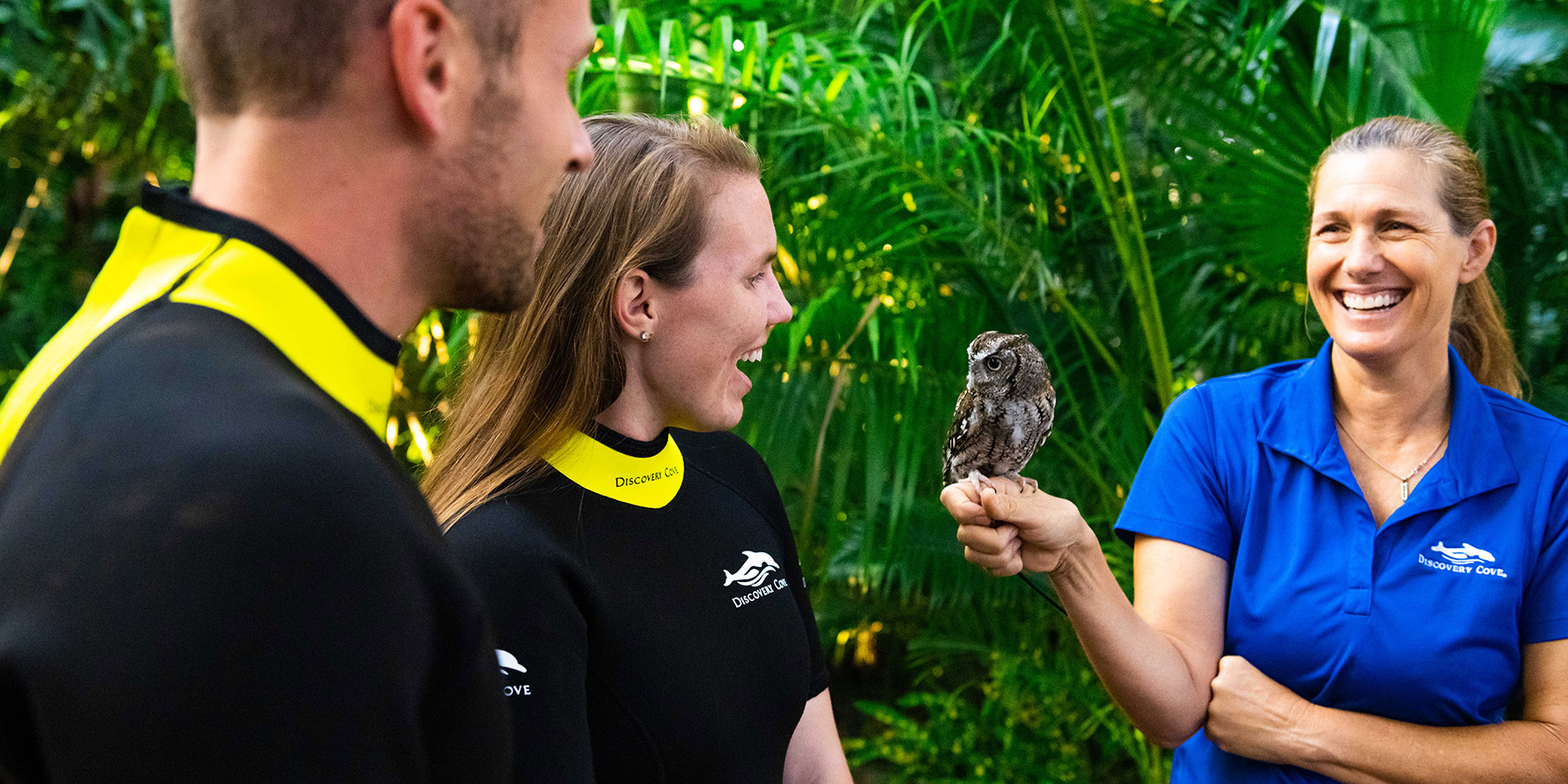 Feed birds in Explorers Aviary at Discovery Cove